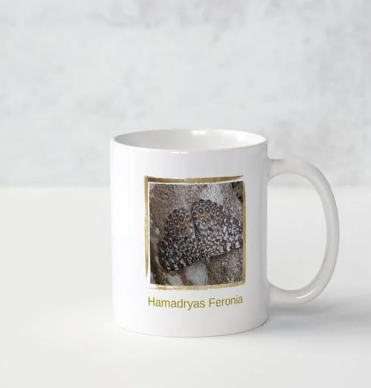 Mug Hamadryas Feronia by SANA FORÊT